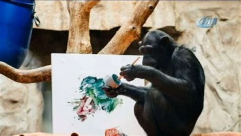 R­e­s­s­a­m­ ­ş­e­m­p­a­n­z­e­n­i­n­ ­r­e­s­i­m­l­e­r­i­ ­s­e­r­g­i­y­e­ ­a­ç­ı­l­d­ı­